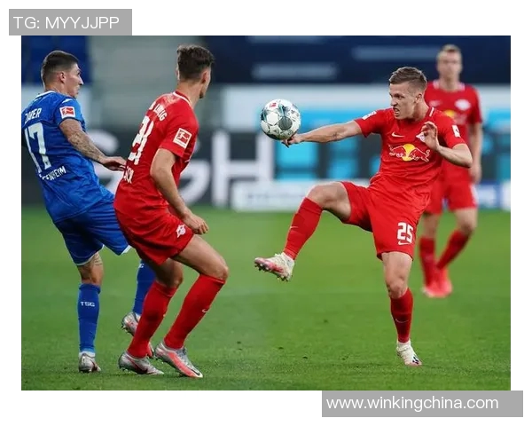 霍芬海姆：德甲赛场上的一支独特之师